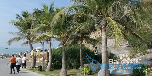 郑州去海南旅游多少钱