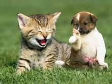 怎样组织分散在各地的朋友全体旅游呢?