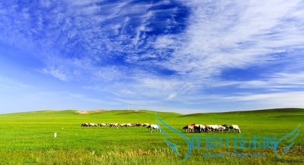 草原游如何游出草原特色