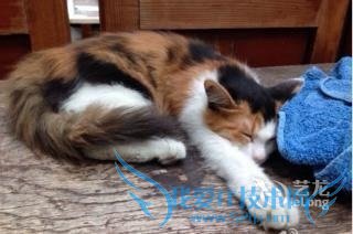 北京青年旅舍推荐_北京青年旅舍哪个好