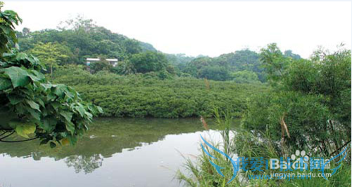 到香港进行一天生态徒步旅游