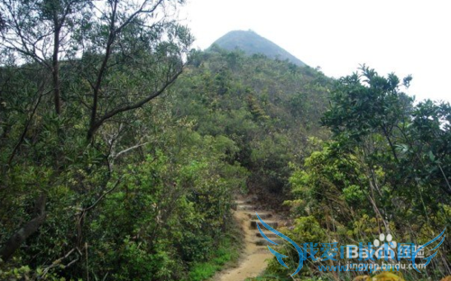 到香港进行一天生态徒步旅游