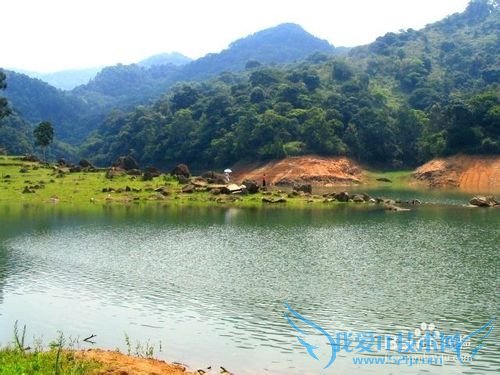 到香港进行一天生态徒步旅游