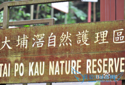 到香港进行一天生态徒步旅游