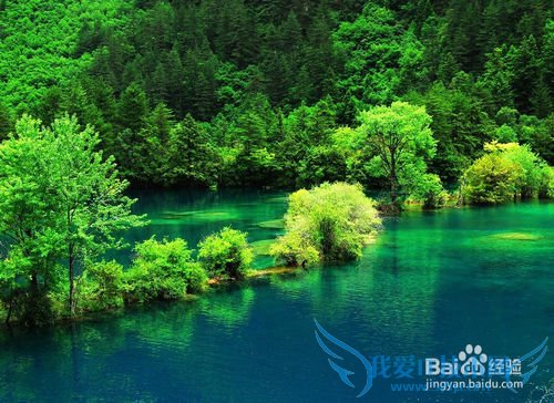 适合夏天去旅游的一些地方