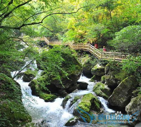 适合夏天去旅游的一些地方