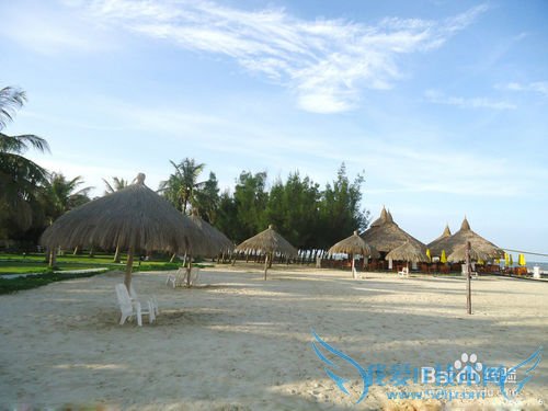 适合夏天去旅游的一些地方