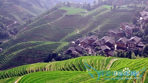 2015年行走桂林,5天4夜最新攻略