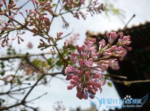 谁说自拍杆只可以自拍