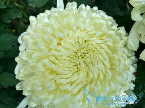 谁说自拍杆只可以自拍