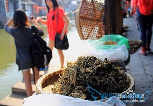 西塘游玩攻略古镇旅游