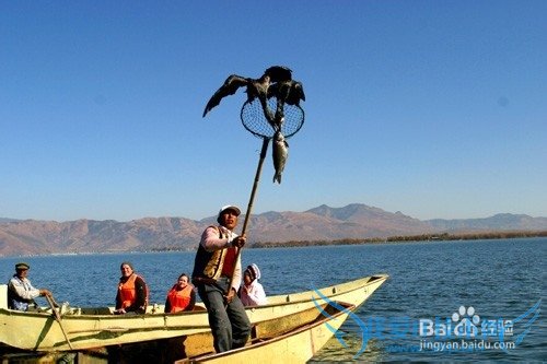 大理洱海深度旅游