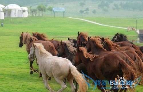 武汉木兰草原最新旅游攻略
