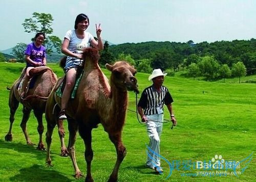 武汉木兰草原最新旅游攻略