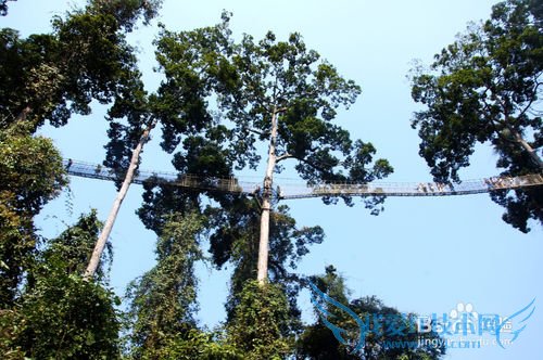 西双版纳旅游攻略