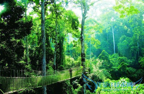 西双版纳旅游攻略