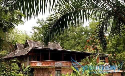 西双版纳旅游攻略