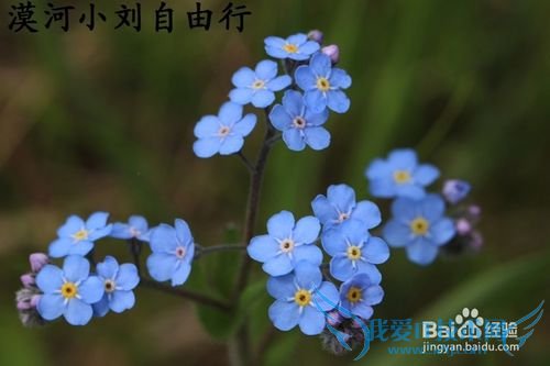 漠河冬夏旅游攻略