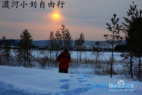 漠河冬夏旅游攻略