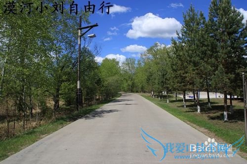 漠河冬夏旅游攻略