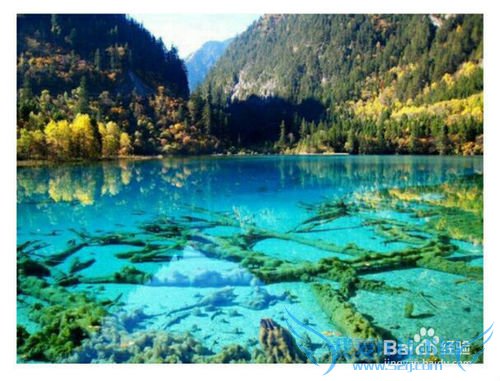 国内最浪漫最有机会邂逅的旅游景点