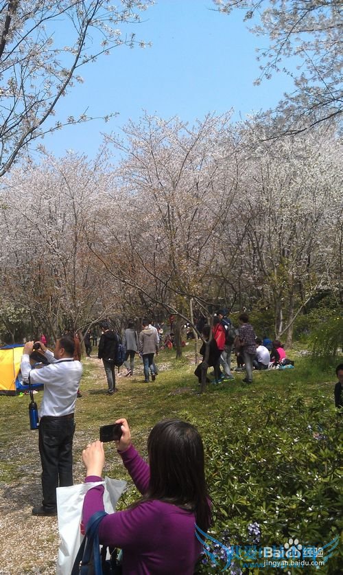 无锡鼋头渚旅游介绍