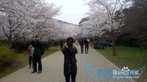 无锡鼋头渚旅游介绍