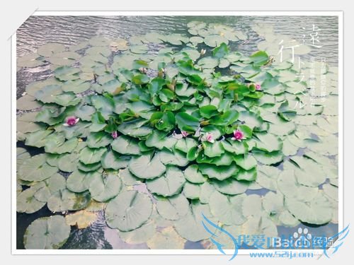 无锡鼋头渚旅游介绍