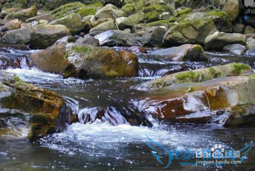 ¸÷¸öÔ·ݶ¼ÓÐÄÄЩºÃµÄÂÃÓÎÈ¥´¦£¿