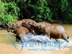 从北京到云南旅游走什么线路好