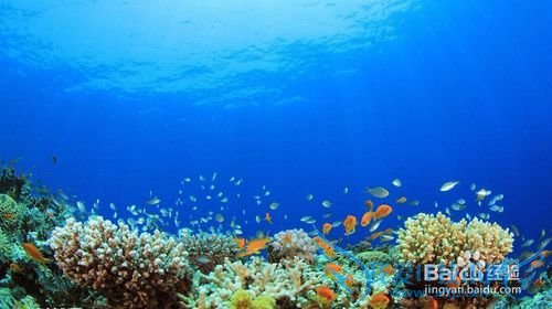 埃及摄影旅游景点推荐