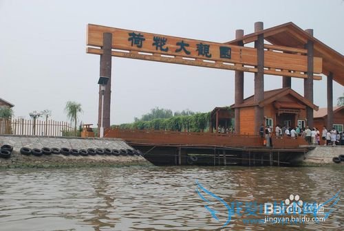 白洋淀旅游防坑指南