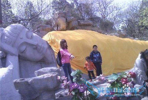 清明节假期要来了,济南哪些地方适合游玩呢?