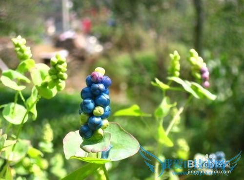 旅游时如何注意安全健康