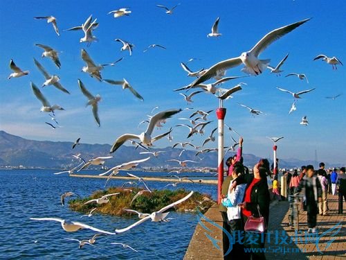 怎样安排云南旅游