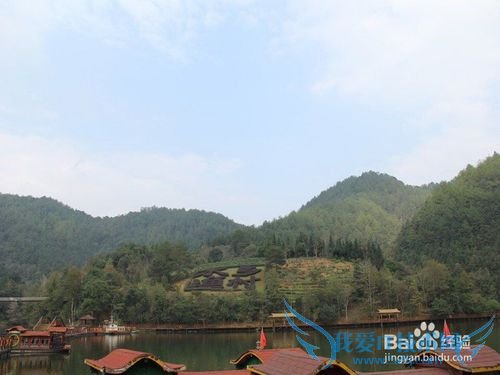 龙岩到九鹏溪旅游攻略