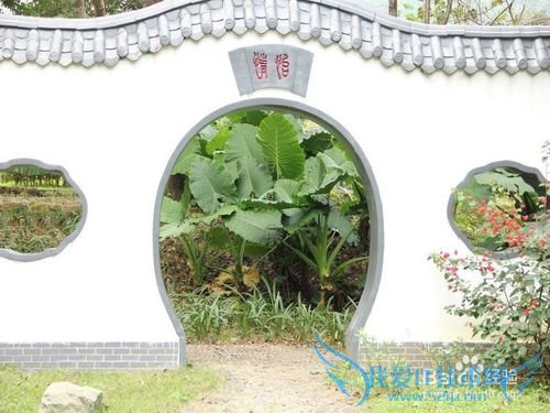 龙岩到九鹏溪旅游攻略