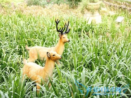 龙岩到九鹏溪旅游攻略