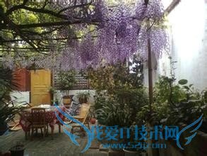 丽江旅游住宿攻略(心得体会)