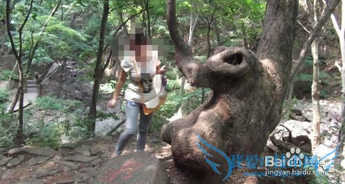 悠悠皇姑幔漫漫历山行