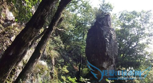 悠悠皇姑幔漫漫历山行