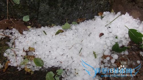 悠悠皇姑幔漫漫历山行