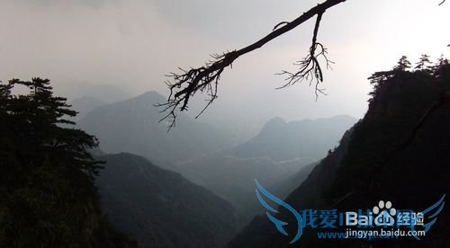 悠悠皇姑幔漫漫历山行