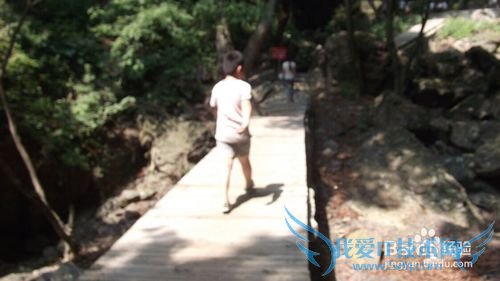 悠悠皇姑幔漫漫历山行