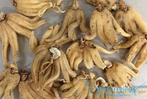 西藏旅游怎么购物?