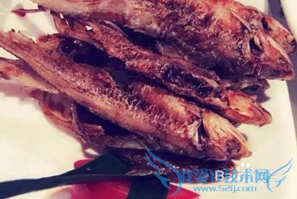 上海5月旅游攻略