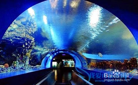 上海5月旅游攻略