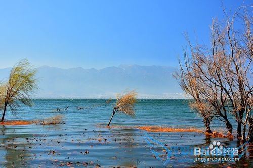 ¶ýº£ÂÃÓÎסËÞ