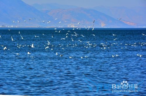 ¶ýº£ÂÃÓÎסËÞ