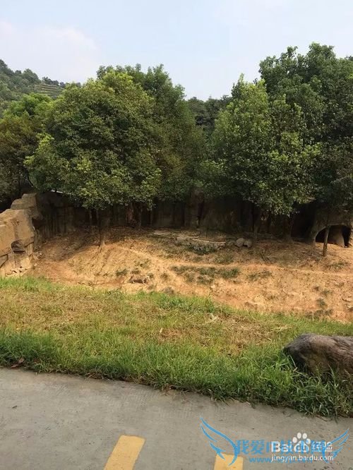 野生动物园的旅游攻略